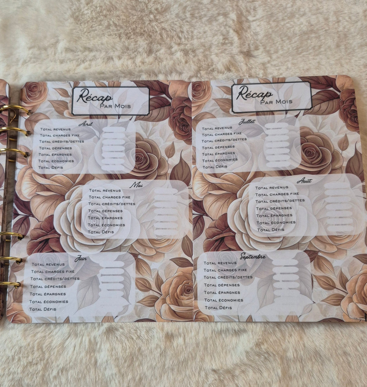 Budget planner