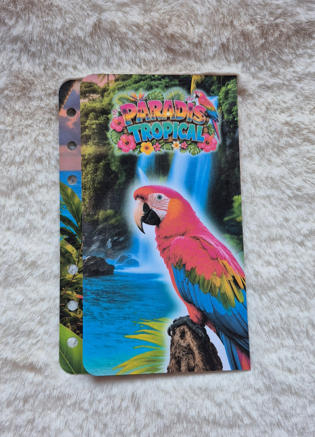 Paradise tropicale