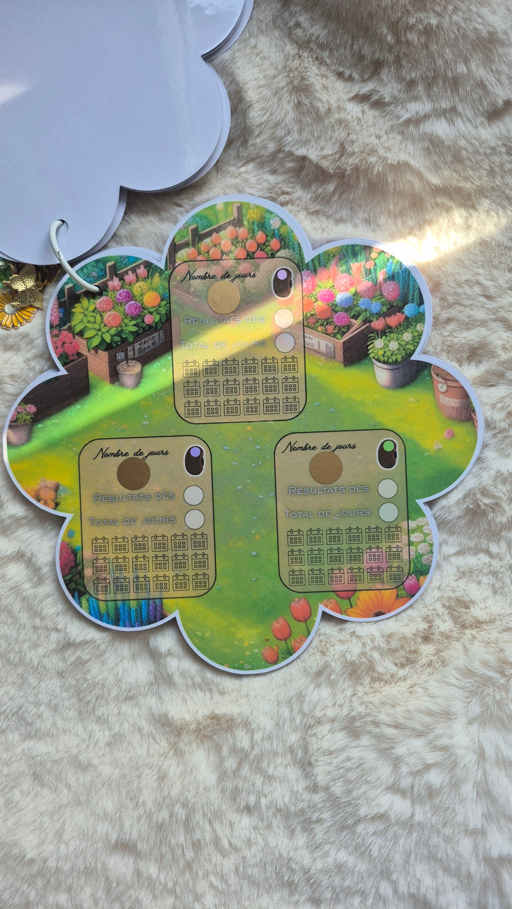 Box printemps