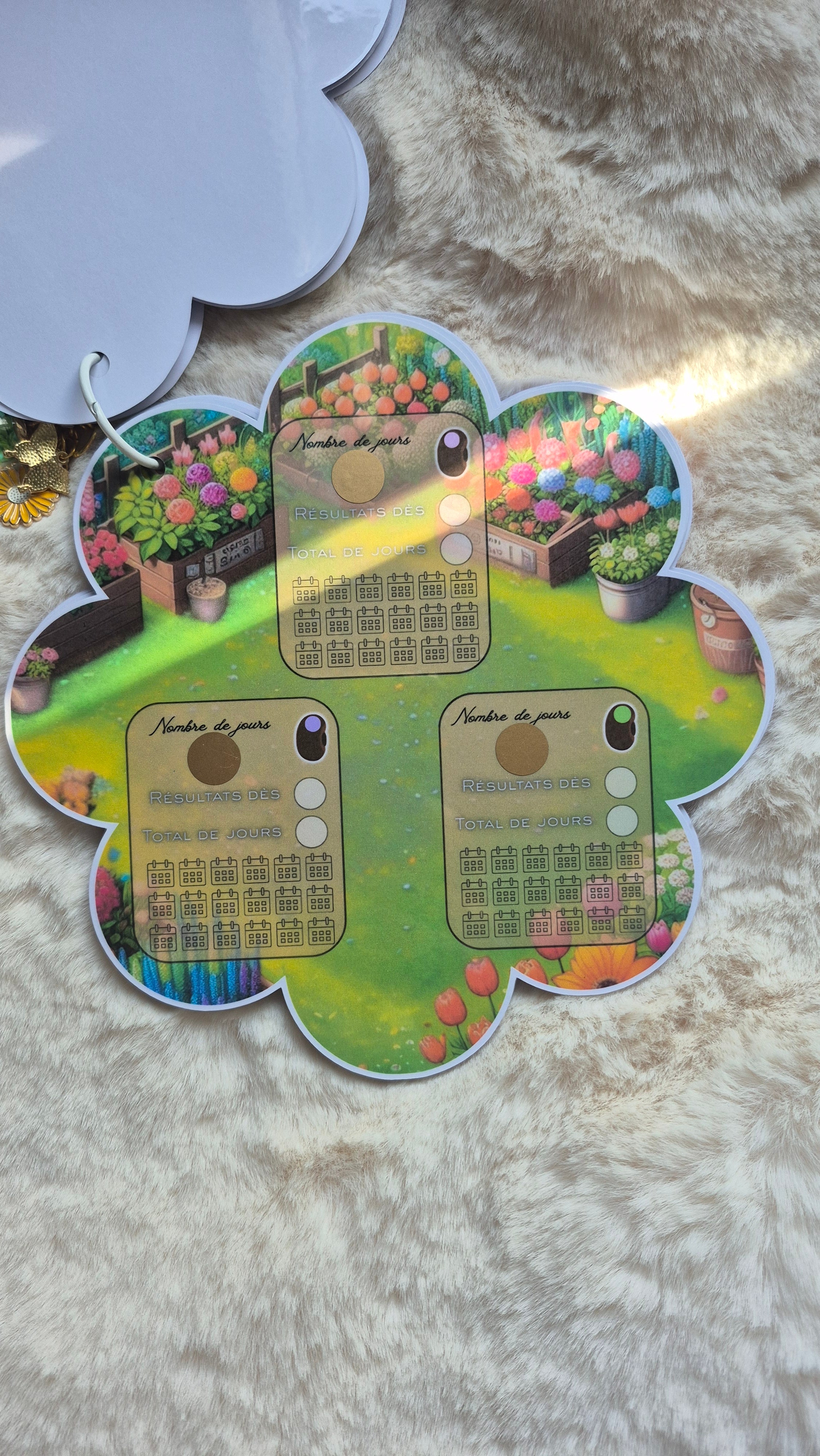 Box printemps