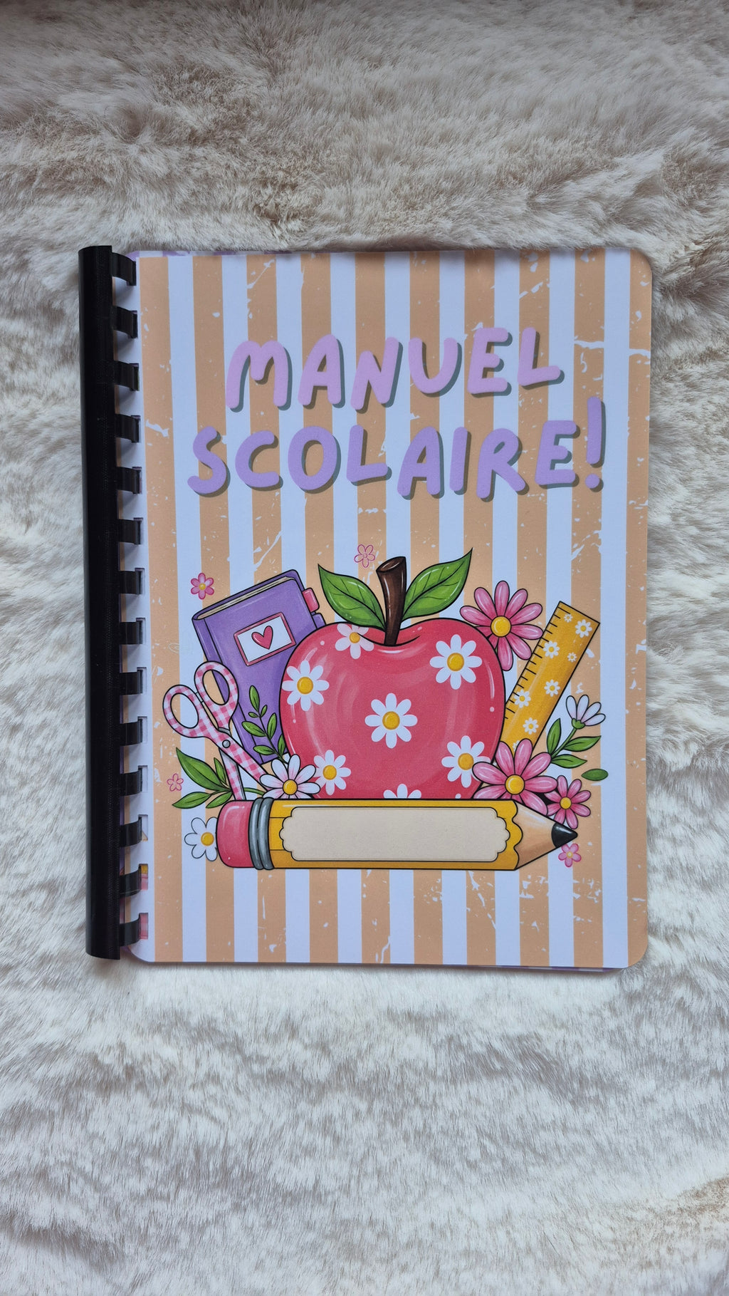 Manuel Scolaire