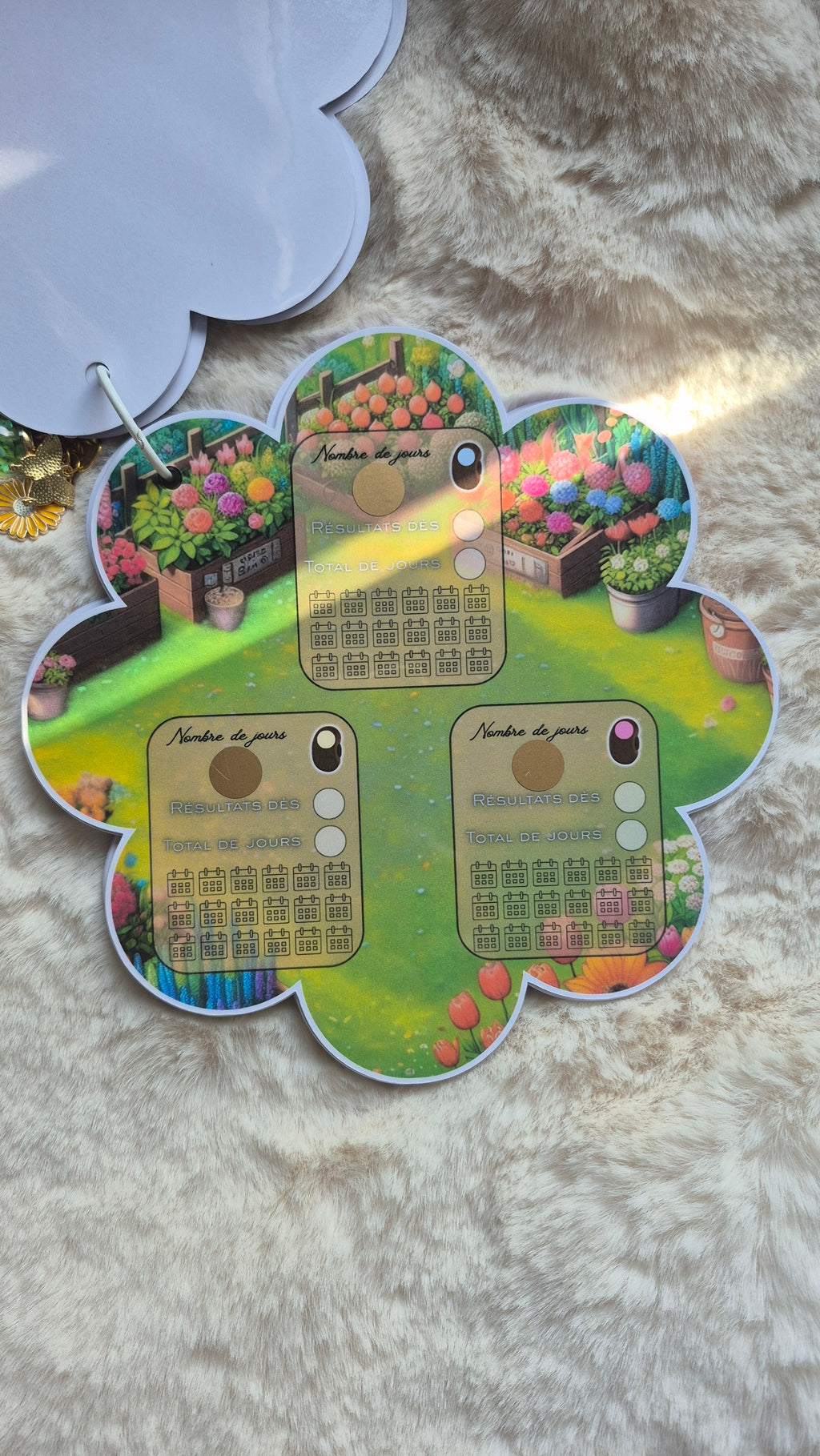 Box printemps