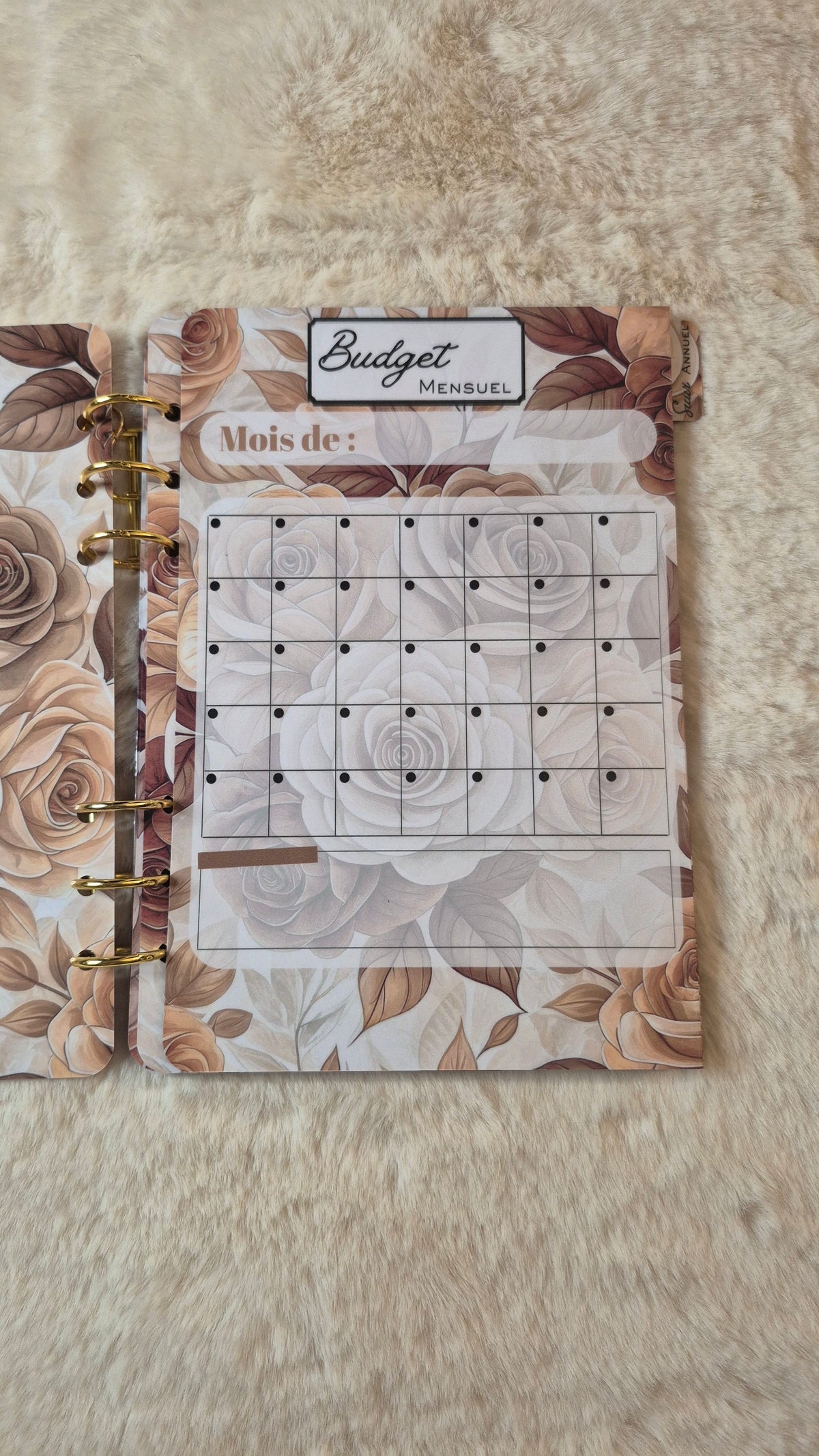 Budget planner