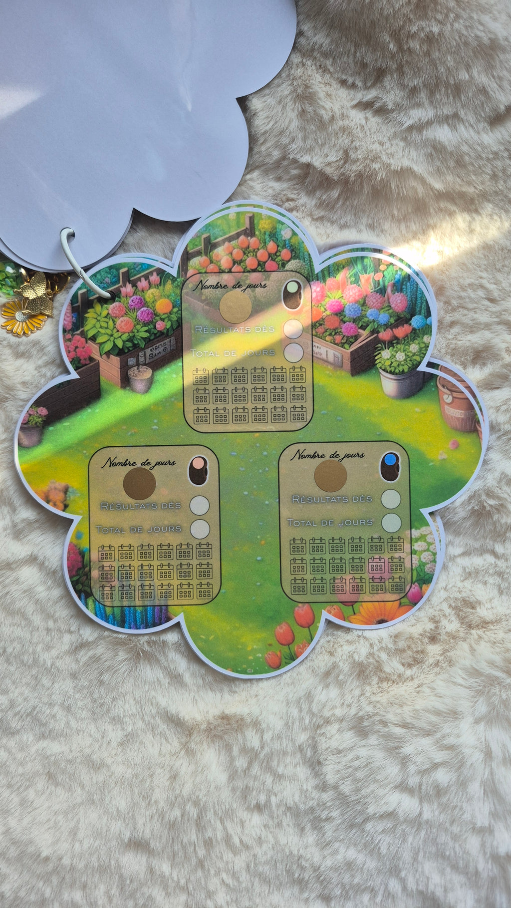 Box printemps