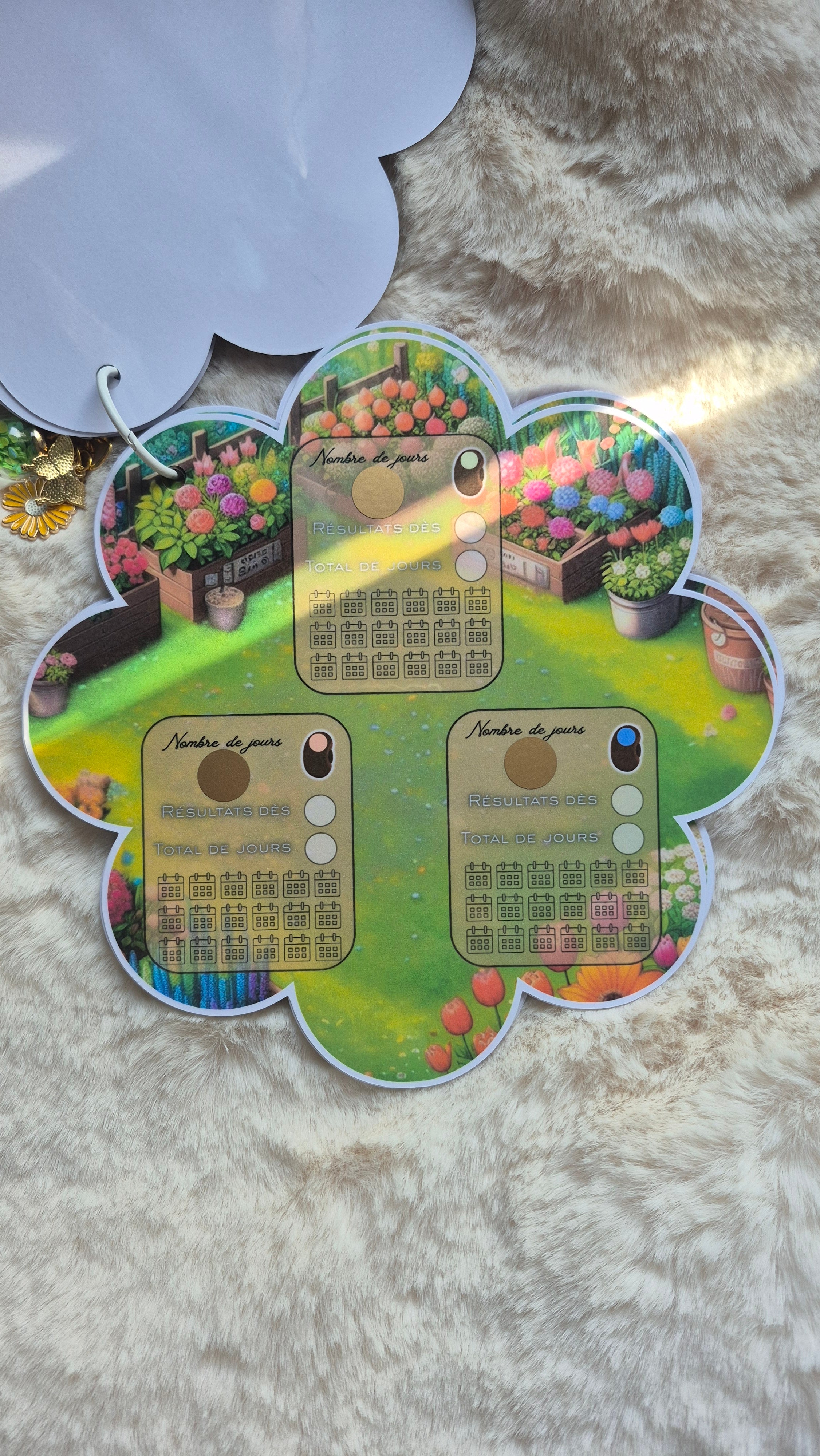 Box printemps